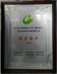 南冠安全榮獲第六屆中國(guó)創(chuàng)新創(chuàng)業(yè)大賽（湖南賽區(qū)）成長(zhǎng)組“優(yōu)秀企業(yè)獎(jiǎng)”